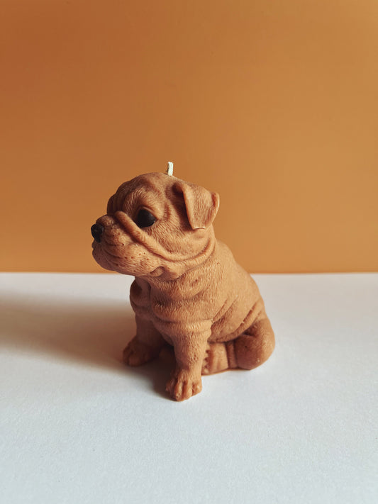 Vela decorativa- Perro Bulldog