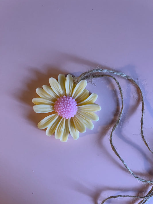 Ambientador- margarita