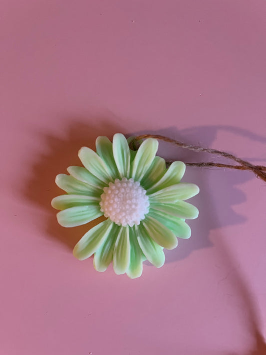 Ambientador- margarita